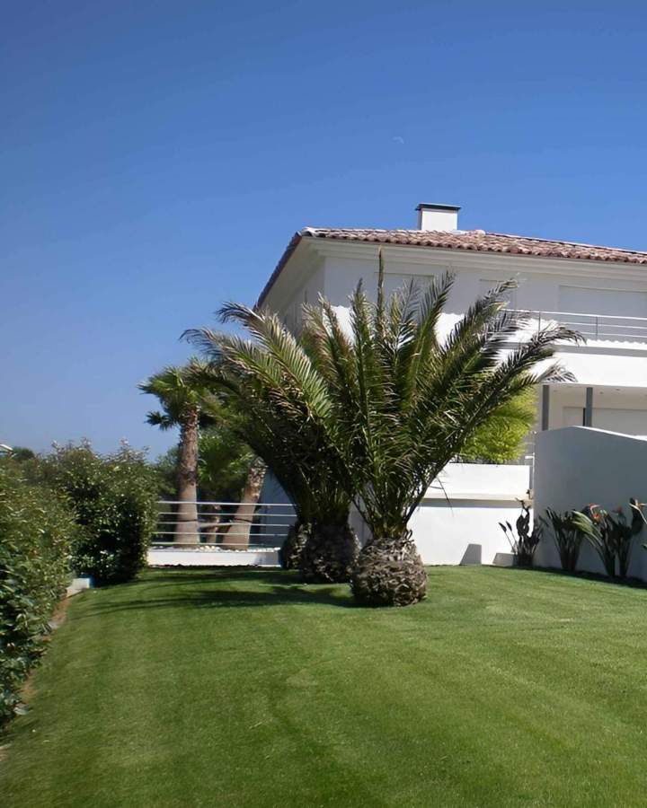 Entretien de jardin Saint-Cyr-sur-Mer